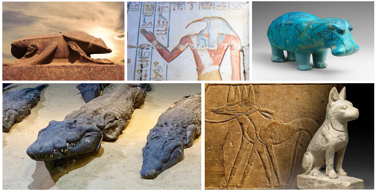 Read more about the article The Most Revered Animals in Ancient Egypt